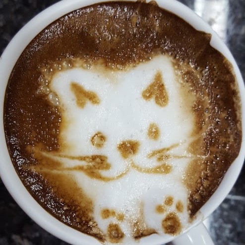 a cat draw on a cup of coffee